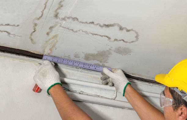 Reliable Burst Pipe Cleanup contractor in Frisco, CO by Water Damage Irwin